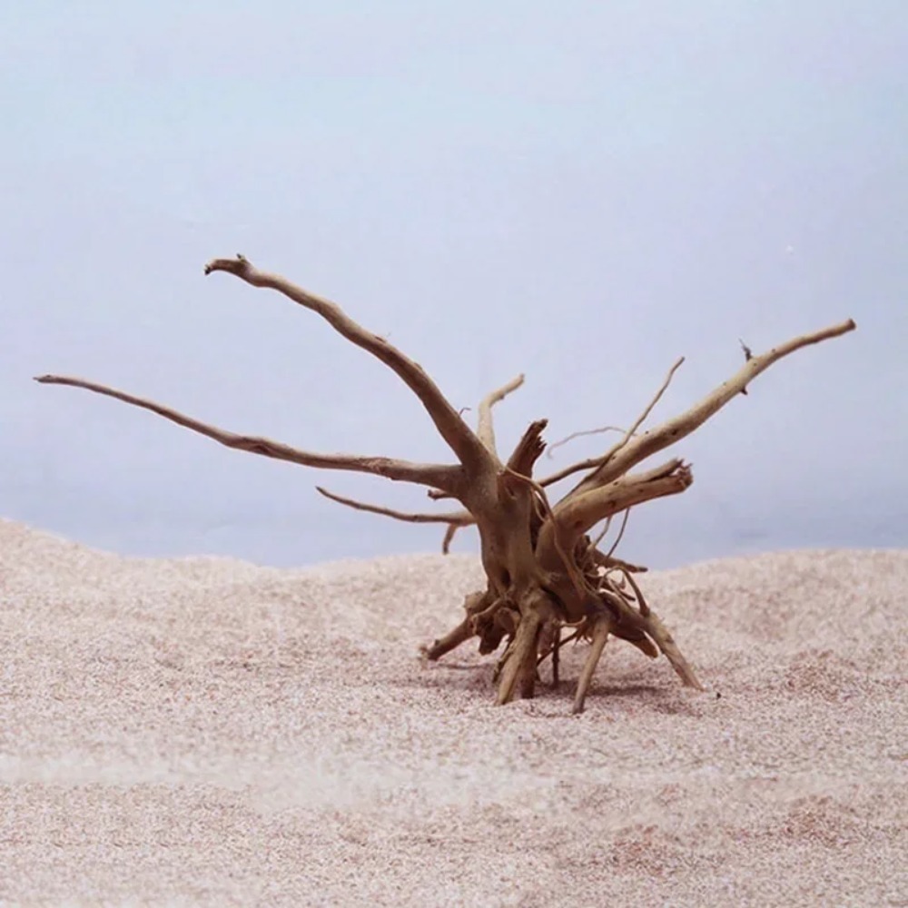 Natural Tree Trunk Driftwood A - Planted Aquarium With Driftwood avaliação e preço