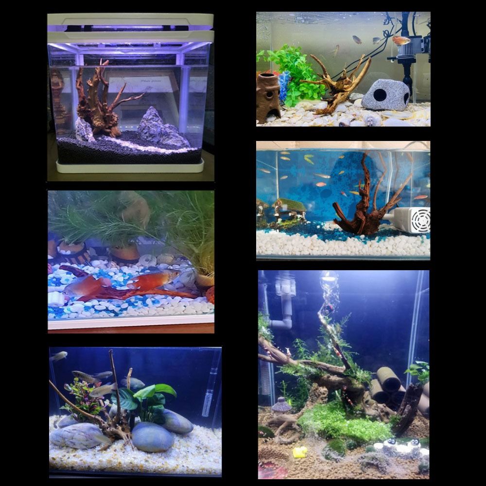 20-25CM Large Aquarium Driftwo - Planted Aquarium With Driftwood avaliação e preço