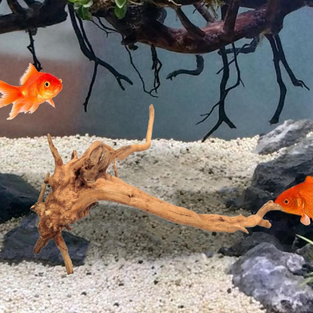 20-25CM Large Aquarium Driftwo - Planted Aquarium With Driftwood avaliação e preço