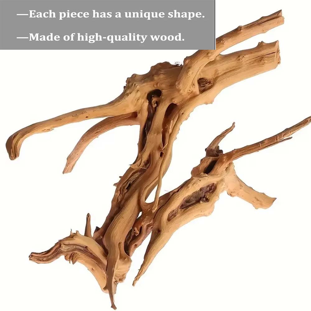 20-25CM Large Aquarium Driftwo - Planted Aquarium With Driftwood avaliação e preço
