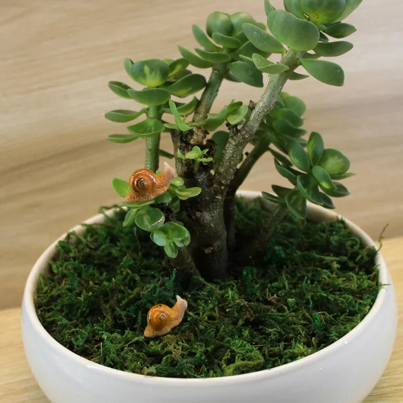 Kawaii Snail Figurines Artific - Aquarium Planting Ideas avaliação e preço