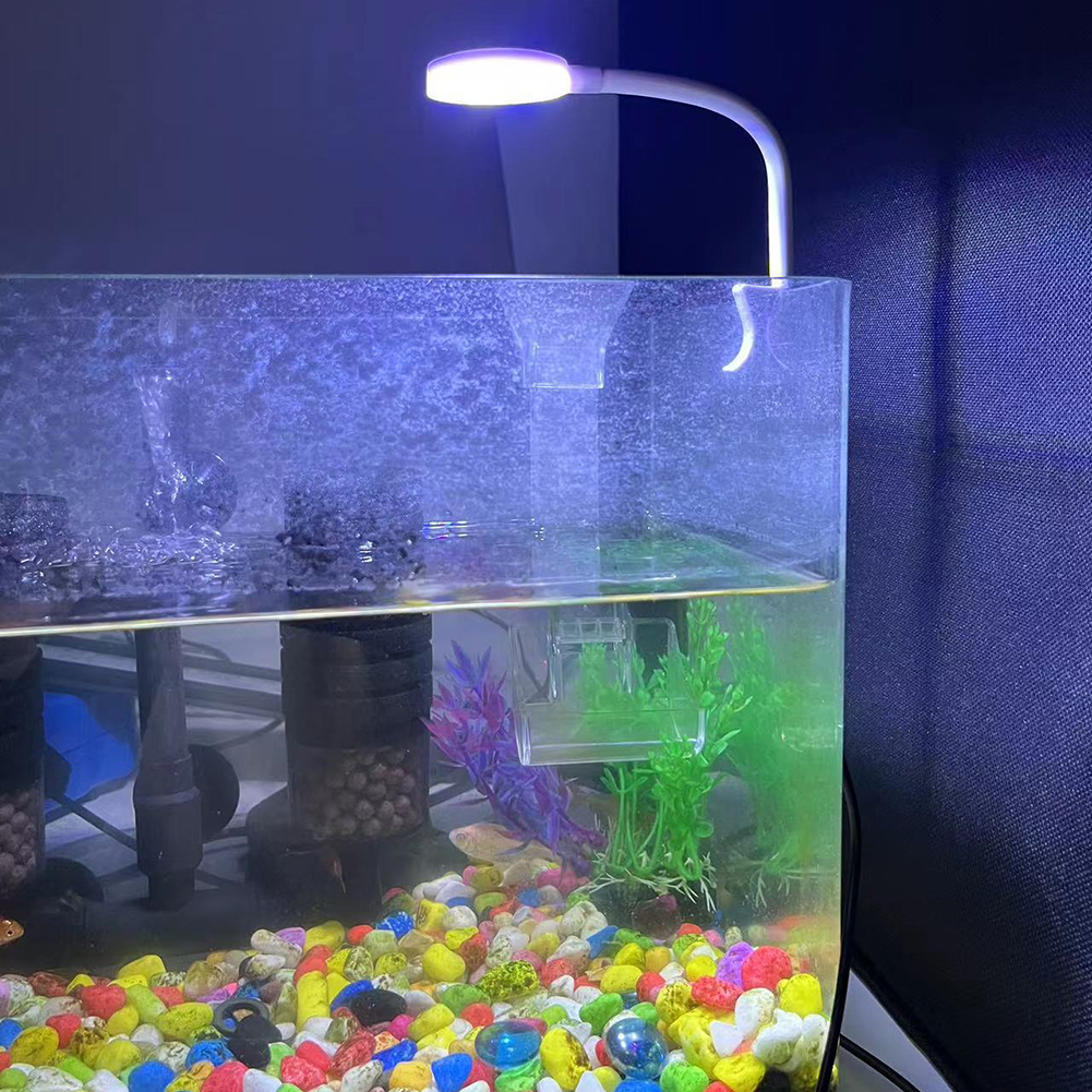 8W Aquarium Light Aquatic Plan - Planted Aquarium Tank Kit avaliação e preço