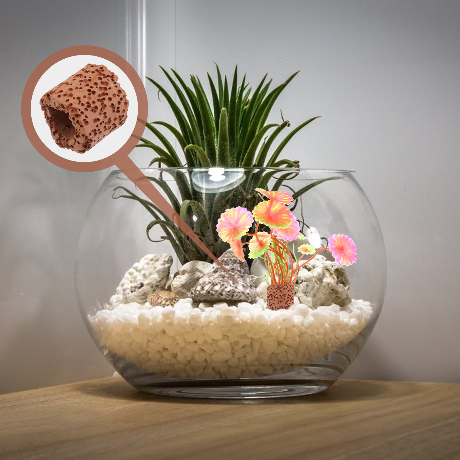 10Pcs Water Plant Fixed Ring S - Aquarium Planting avaliação e preço