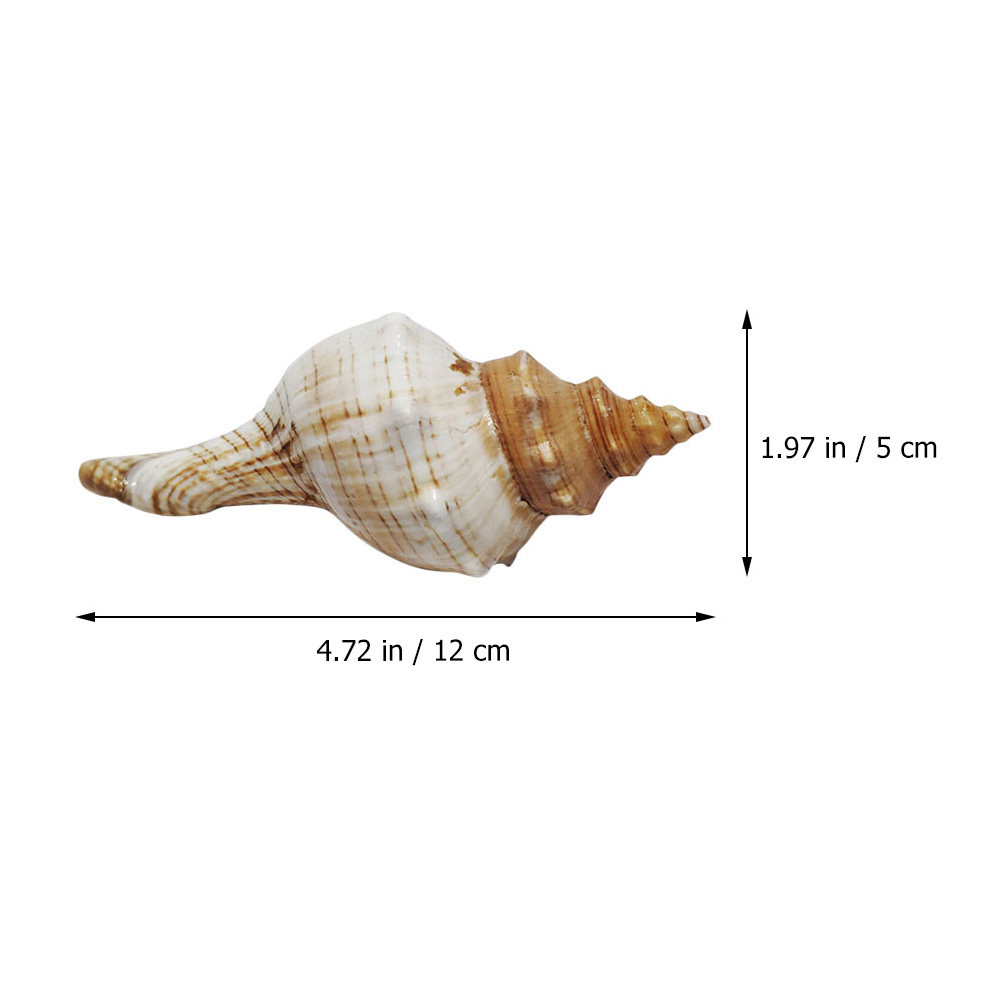 Decorative Conch Shell for Aqu - Aquarium Planting Ideas avaliação e preço