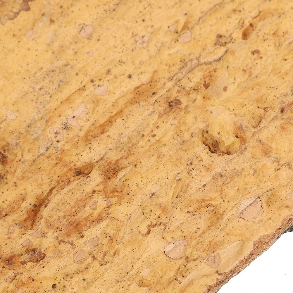 2Pcs Terrarium Cork Bark for R - Aquarium Planting Ideas avaliação e preço
