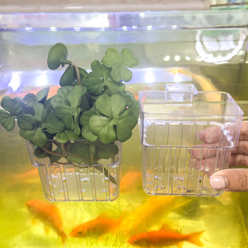 1/5pcs Aquarium Decoration Pla - Aquarium Planting avaliação e preço