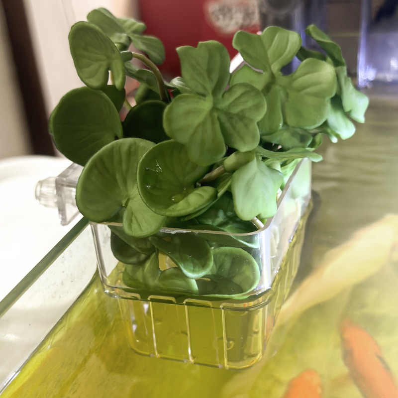1/5pcs Aquarium Decoration Pla - Aquarium Planting avaliação e preço