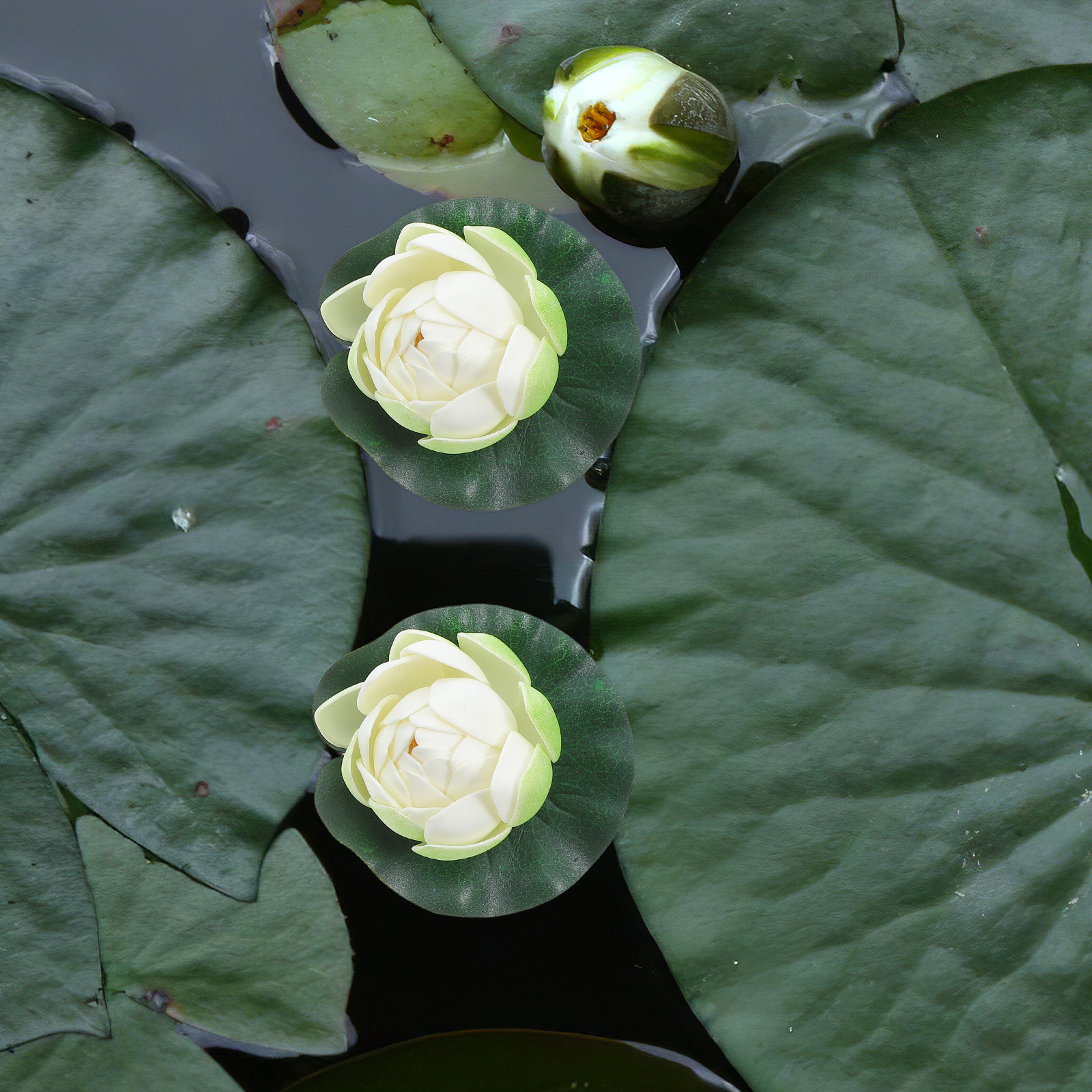 5Pcs Artificial Floating Water - Aquarium Planting avaliação e preço