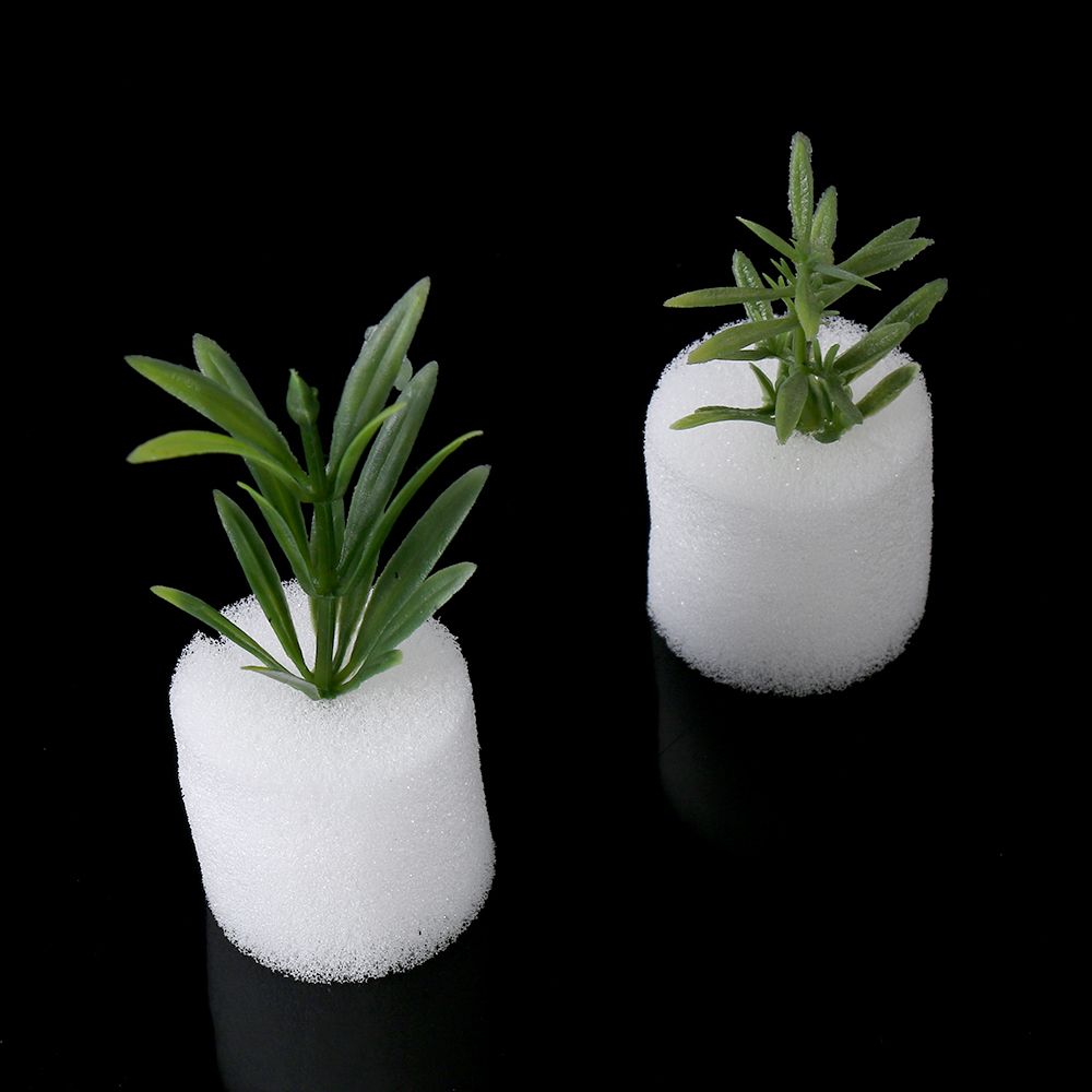 10/50pcs Durable Planting Aqua - Aquarium Plant Seeds avaliação e preço