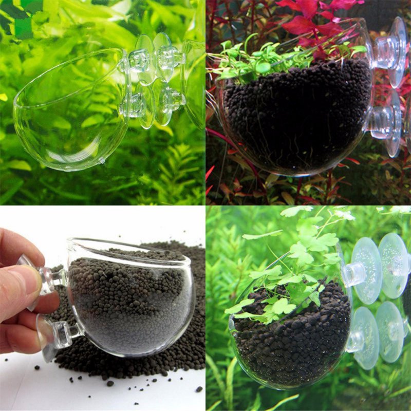 Aquarium Hanging Plant Pot Gla - Aquarium Plant Seeds avaliação e preço