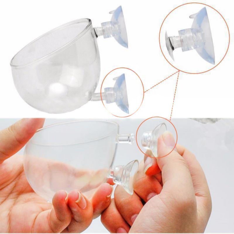 Aquarium Hanging Plant Pot Gla - Aquarium Plant Seeds avaliação e preço