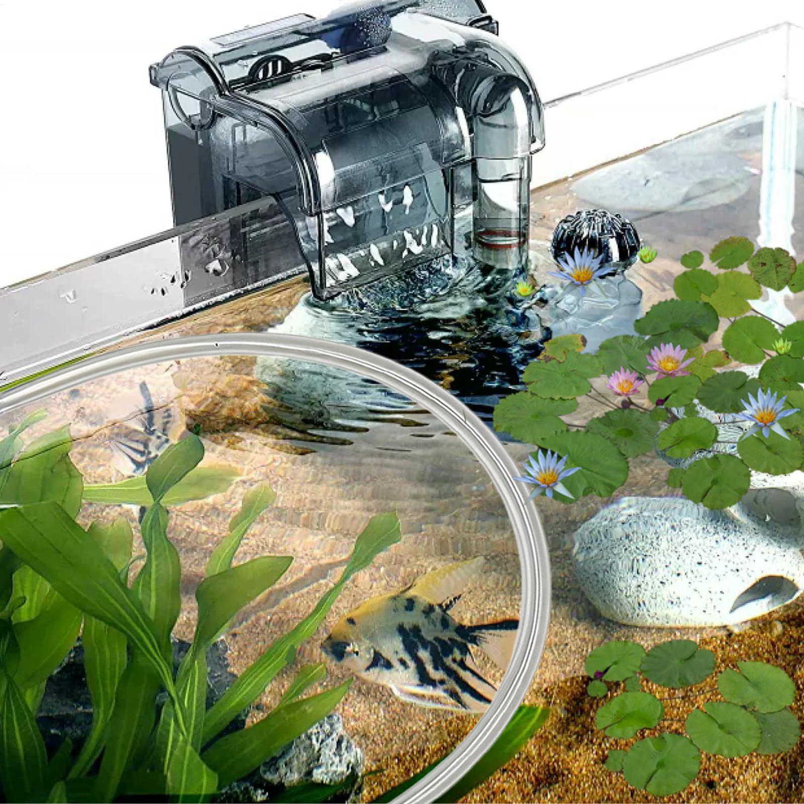Aquarium Floating Plant Barrie - Planted Aquarium Tank Kit avaliação e preço