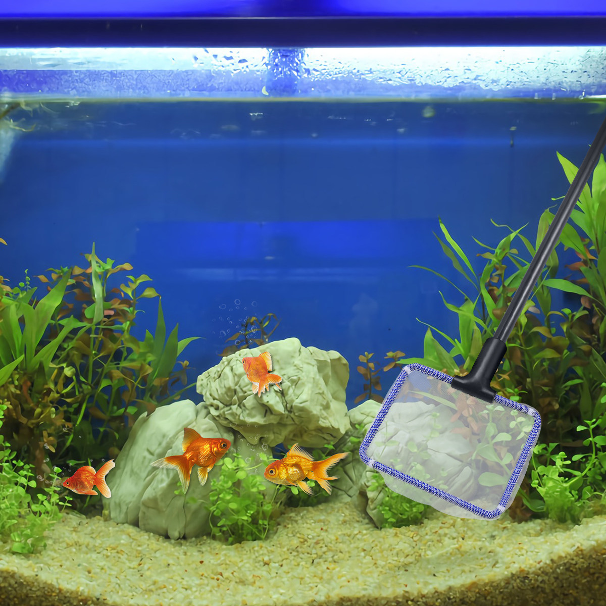 Aquarium Fish Tank Cleaning Ki - Planted Aquarium Tank Kit avaliação e preço