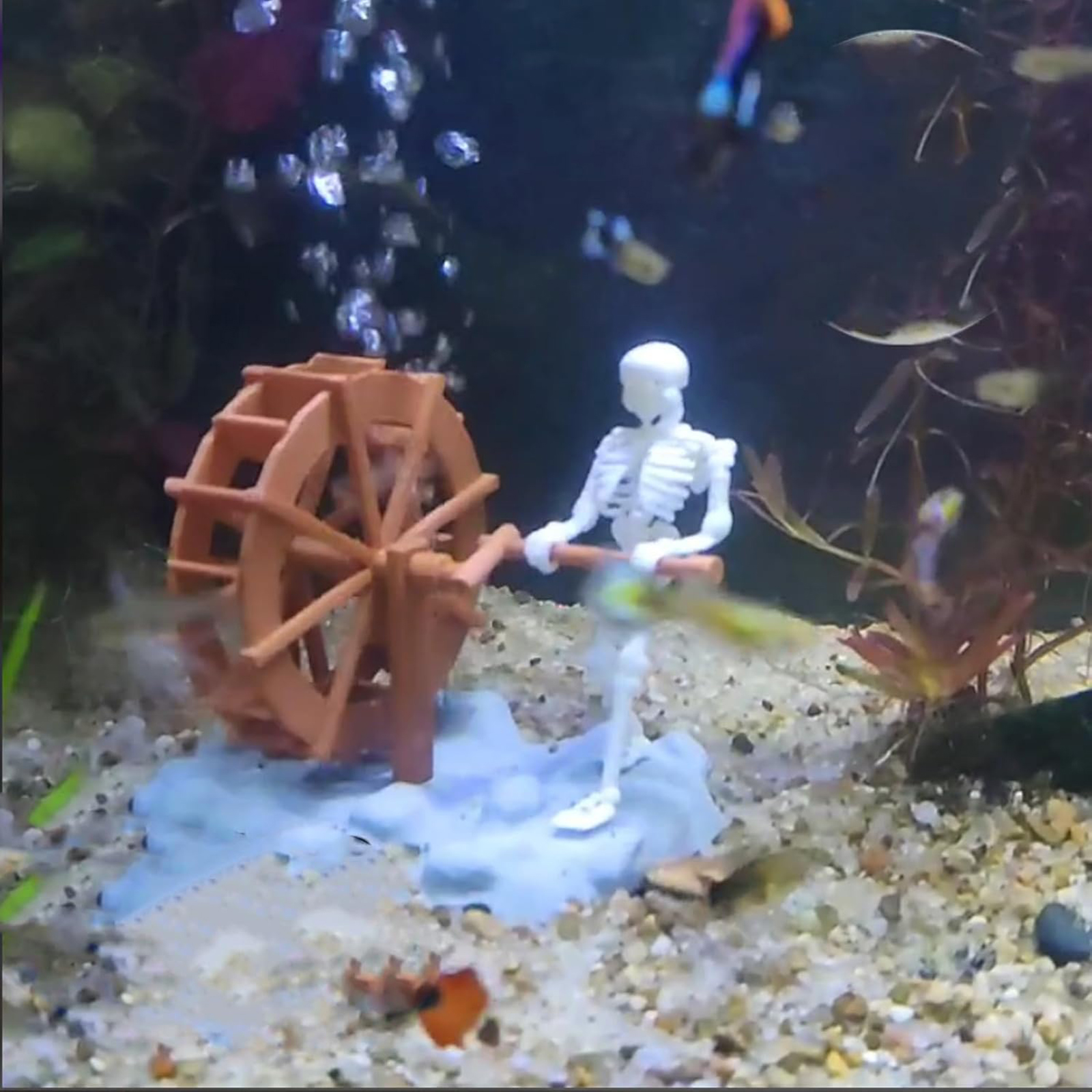 Skeleton Waterwheel Creative U - Aquarium Planting Ideas avaliação e preço