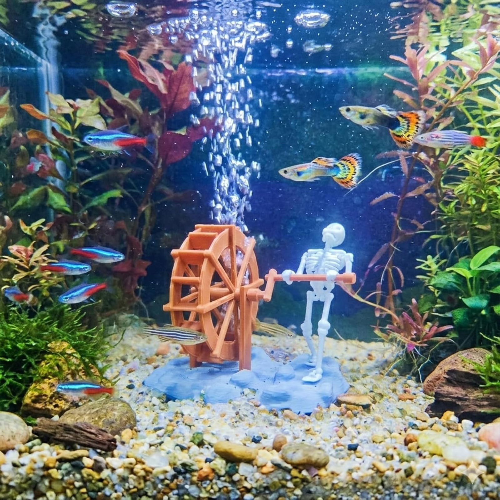 Skeleton Waterwheel Creative U - Aquarium Planting Ideas avaliação e preço