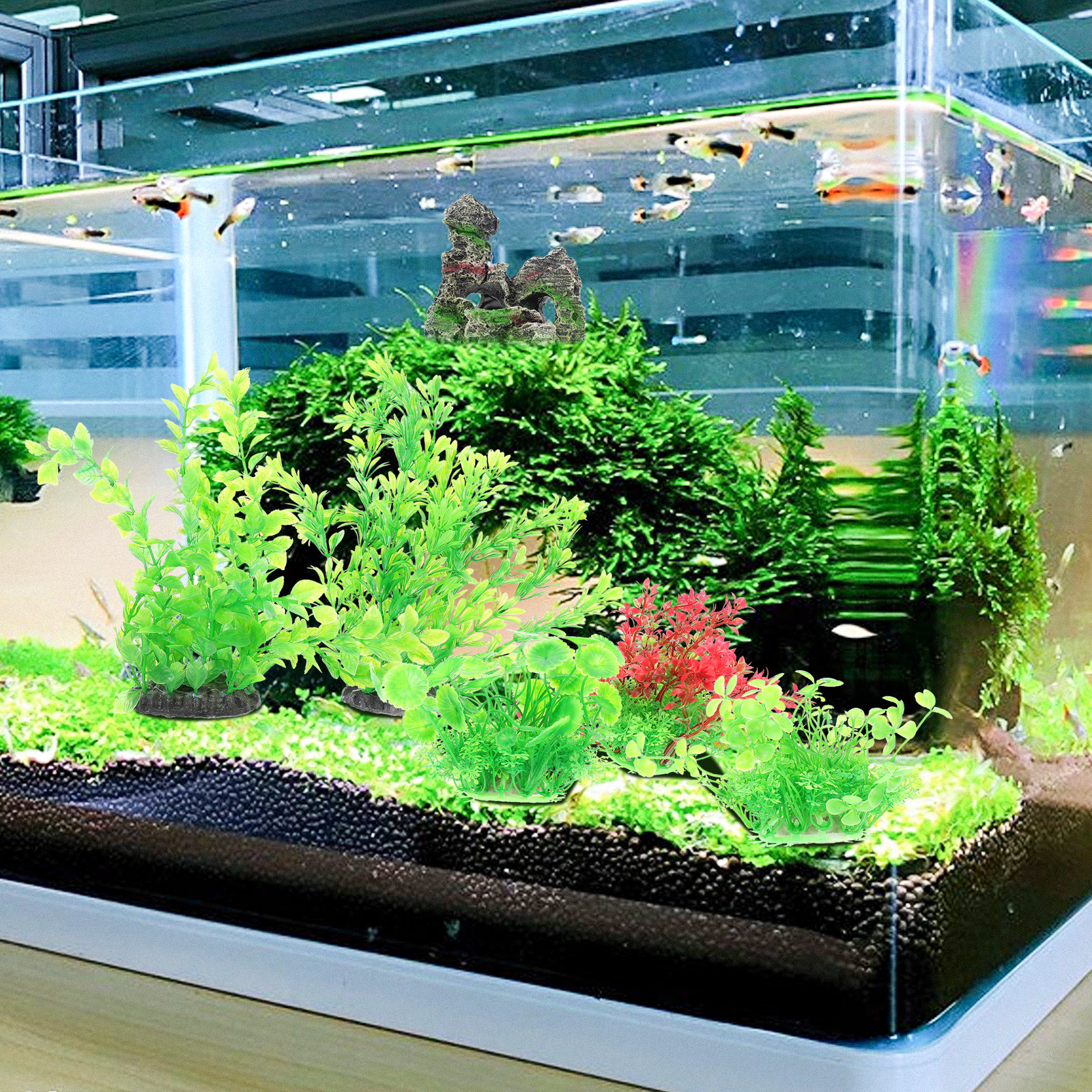 1Set Beautiful Simple Aquarium - Planted Aquarium Tank Kit avaliação e preço